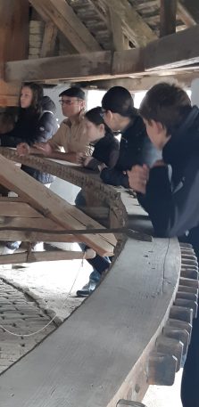 0-02-05-ad050477ccc239dbf9eb52481b1fd3e5195460aaf9e94828c125c29a2495ceda_ddcc0ab2576ff0ed