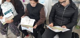 0-02-05-ae54b736ff404f48ca34fd35f88c379ee4554ae0fa77d51ebfec55b6a5157dee_ba13fdc243f11662